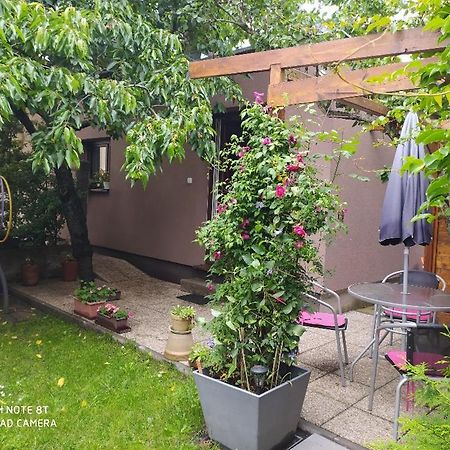 Apartment Garden Ceske Budejovice Dış mekan fotoğraf