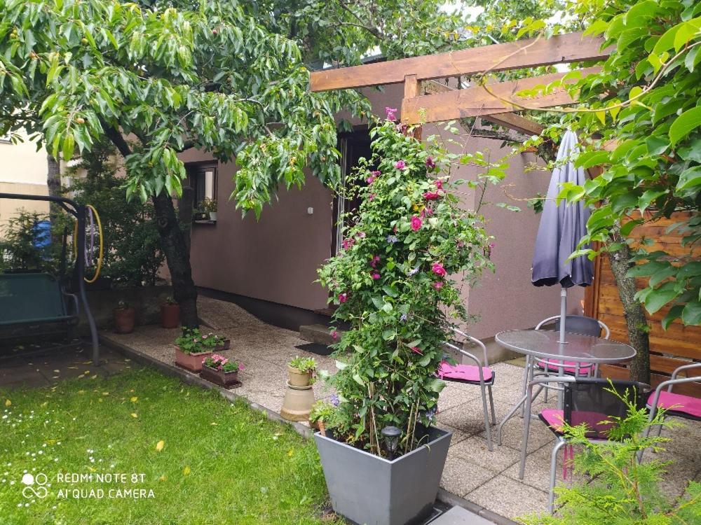 Apartment Garden Ceske Budejovice Dış mekan fotoğraf